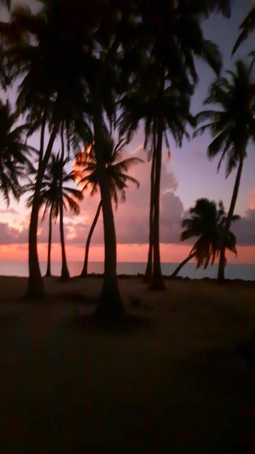 Mystic Maldives Mathiveri Retreat 外观 照片